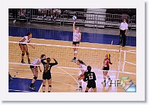 Set 2 * (264 Slides)